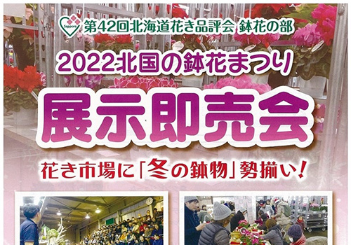 2022北国の鉢花まつり 展示即売会のお知らせ