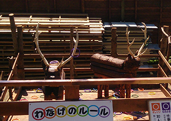 木製の鹿の角はここ栗山公園の人気者『たいし』くんから抜け落ちた本物の角です！