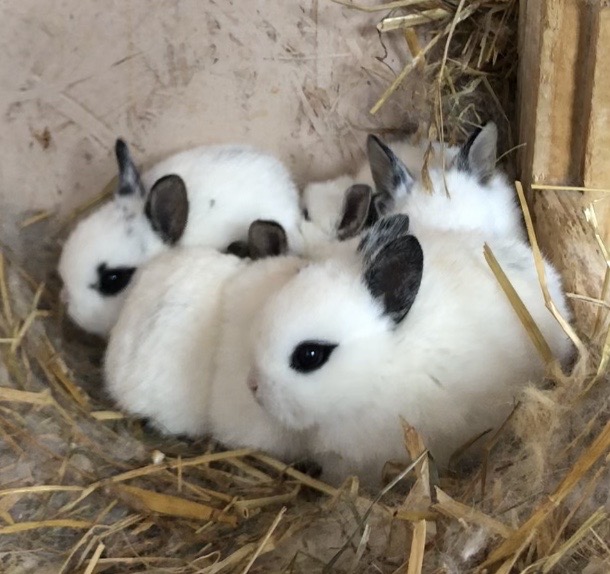 プレゼント届きましたか？？