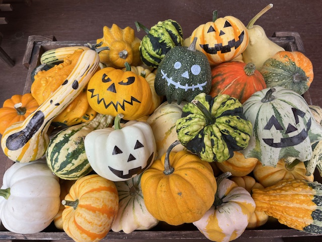 ハッピーハローウィーン♪