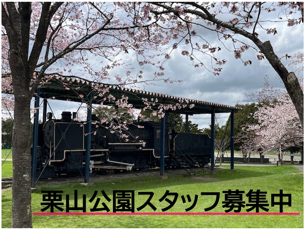 【スタッフ募集】